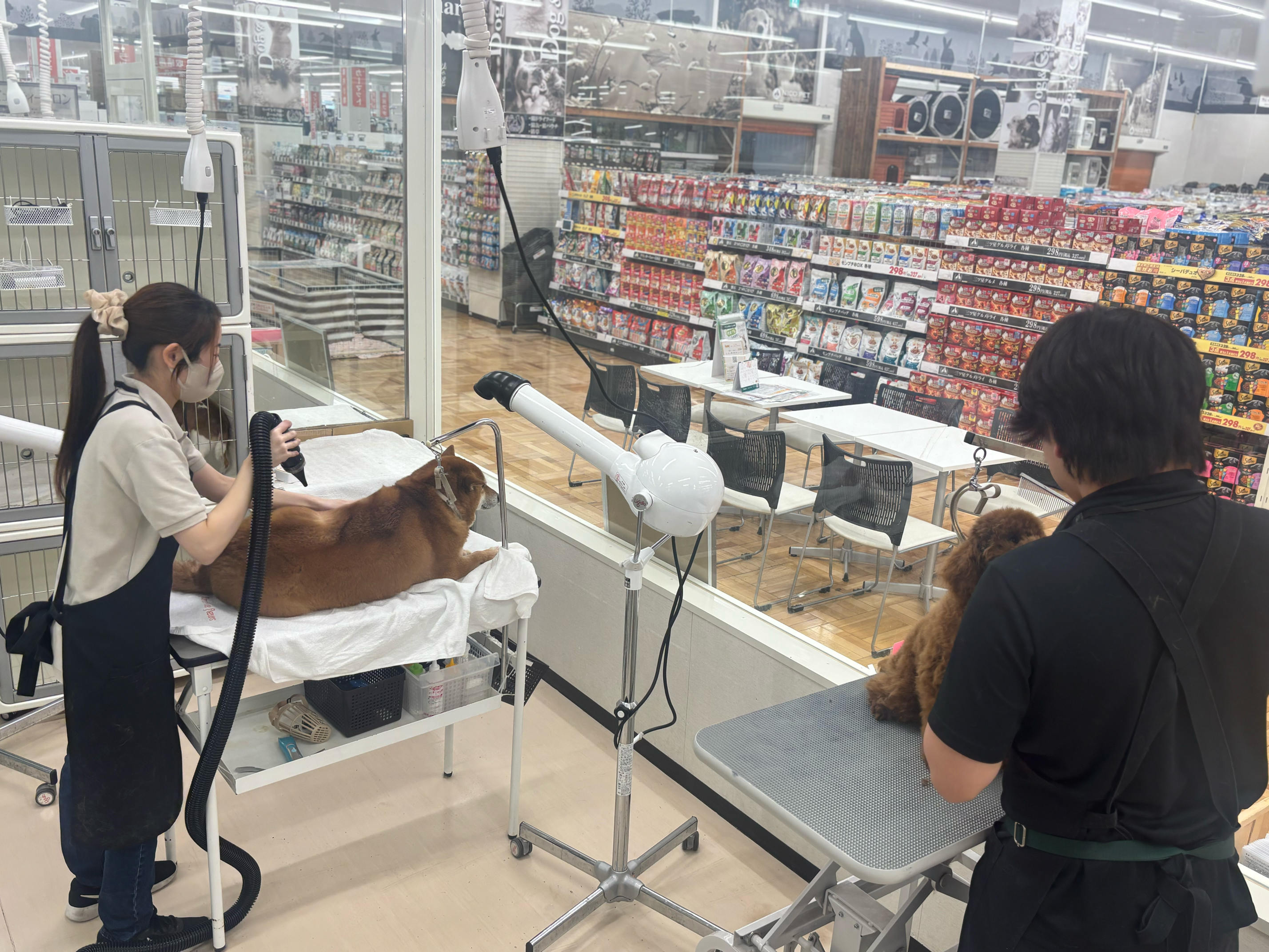 トリマーさん募集中♪ニコペットセレクト東久留米店