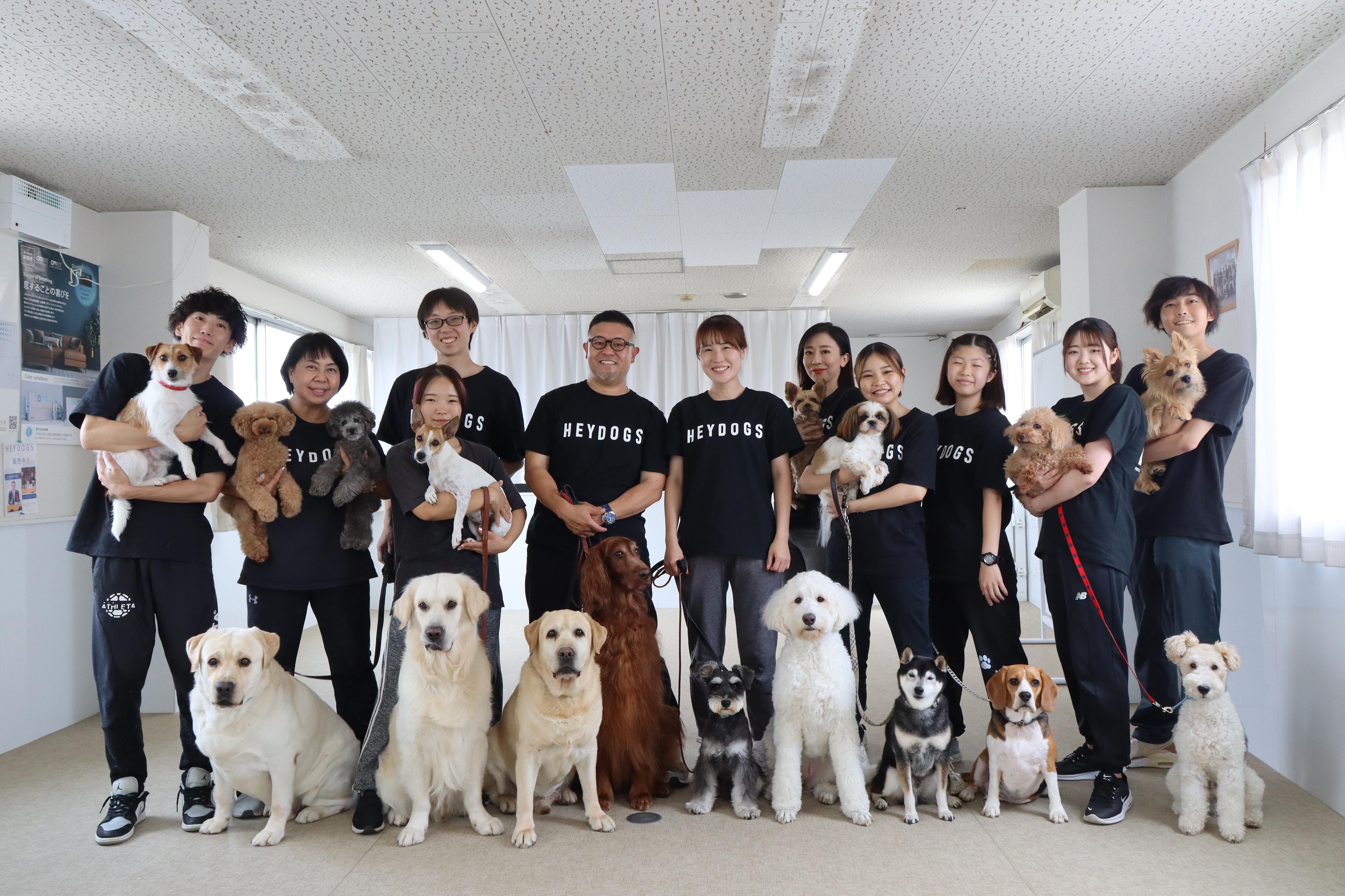 犬の幼稚園でのトリマー/週2～3日OK