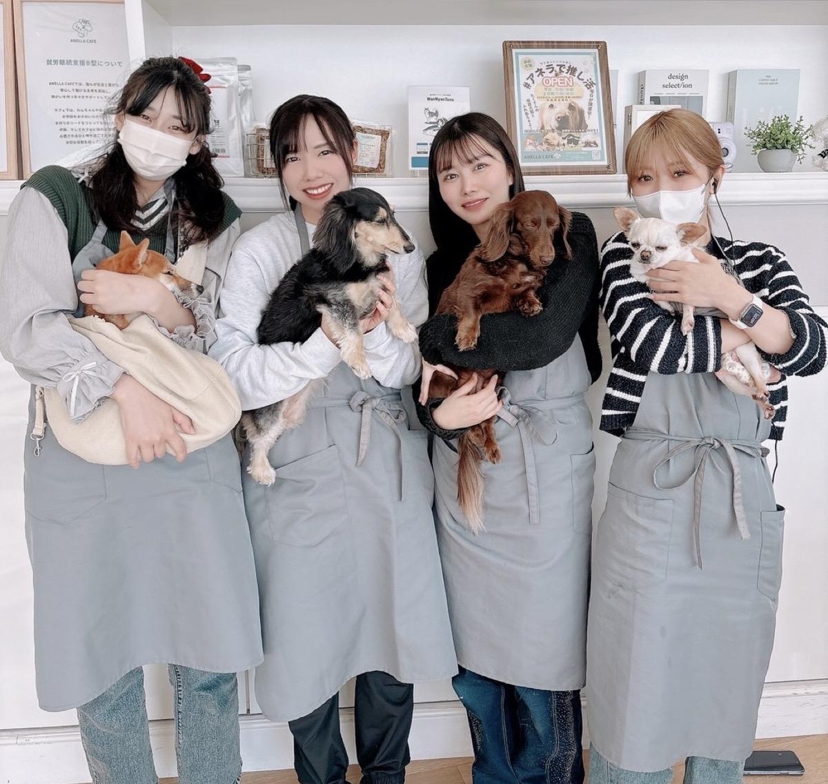 保護犬猫ふれあいカフェトリマー大募集