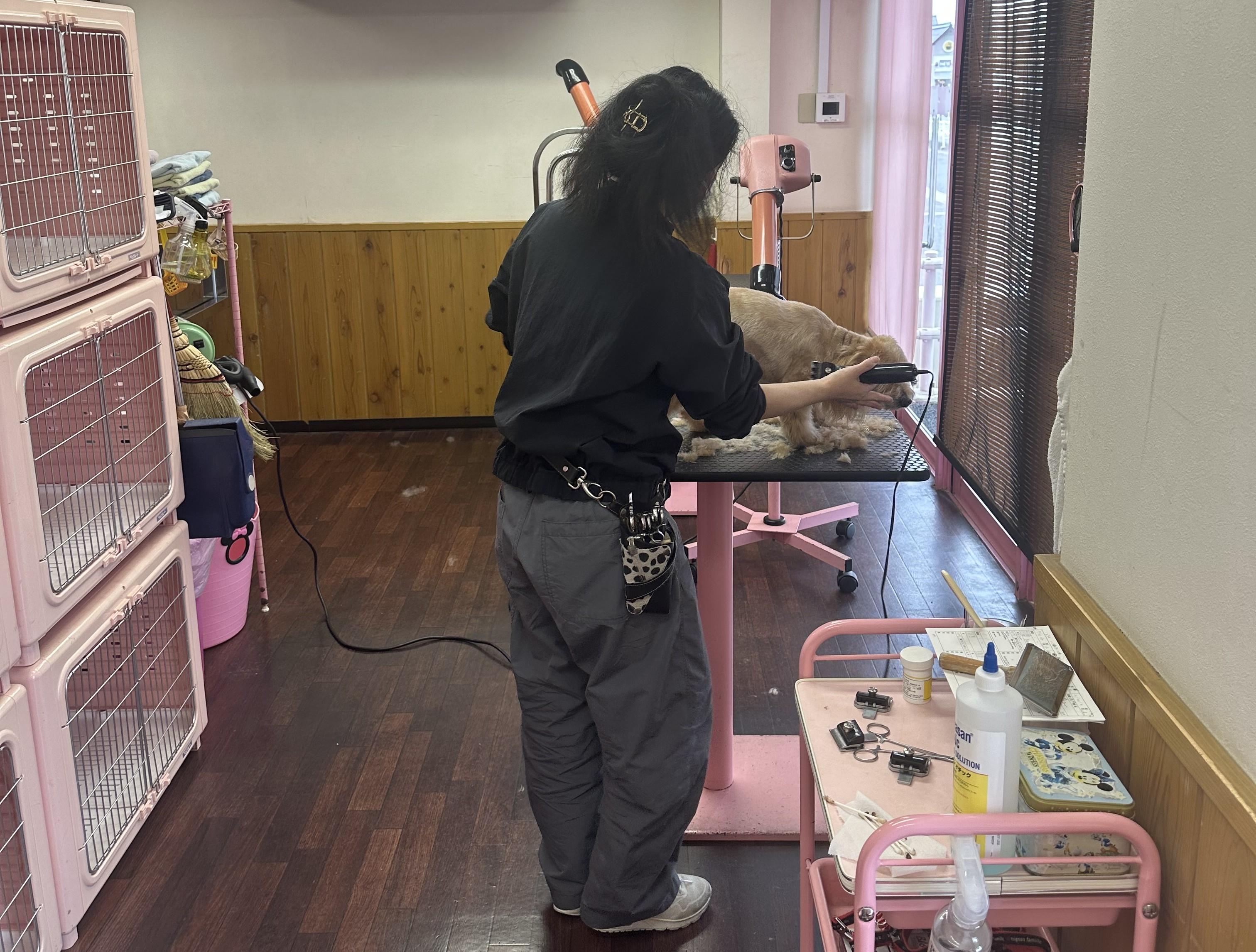 ペット美容室のトリマー募集