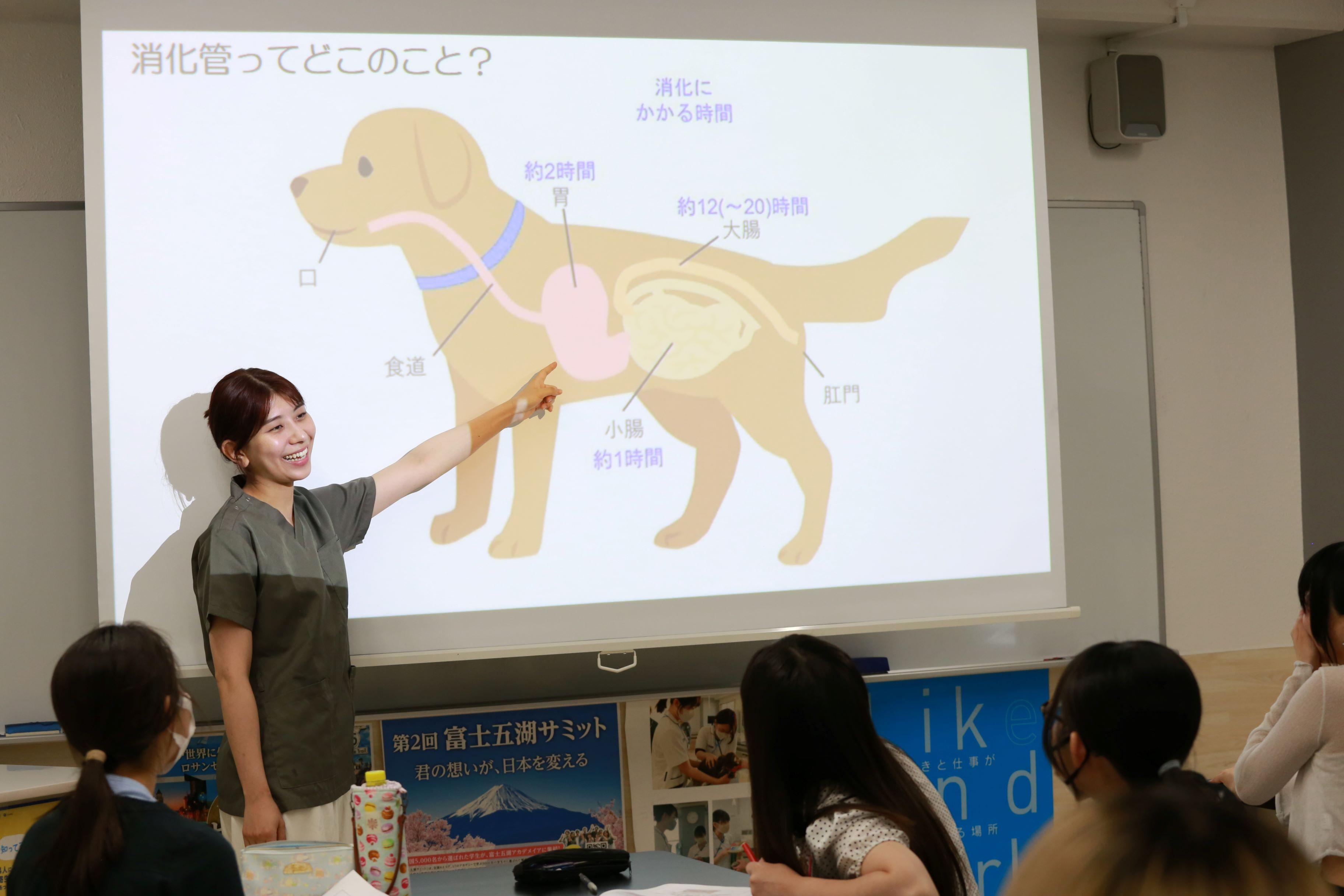 【愛玩動物看護師】非常勤講師募集