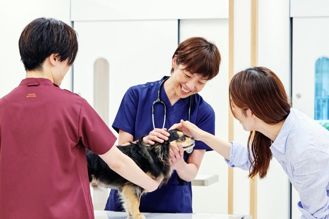 各院で獣医師募集！｜動物医療センターPecoグループ
