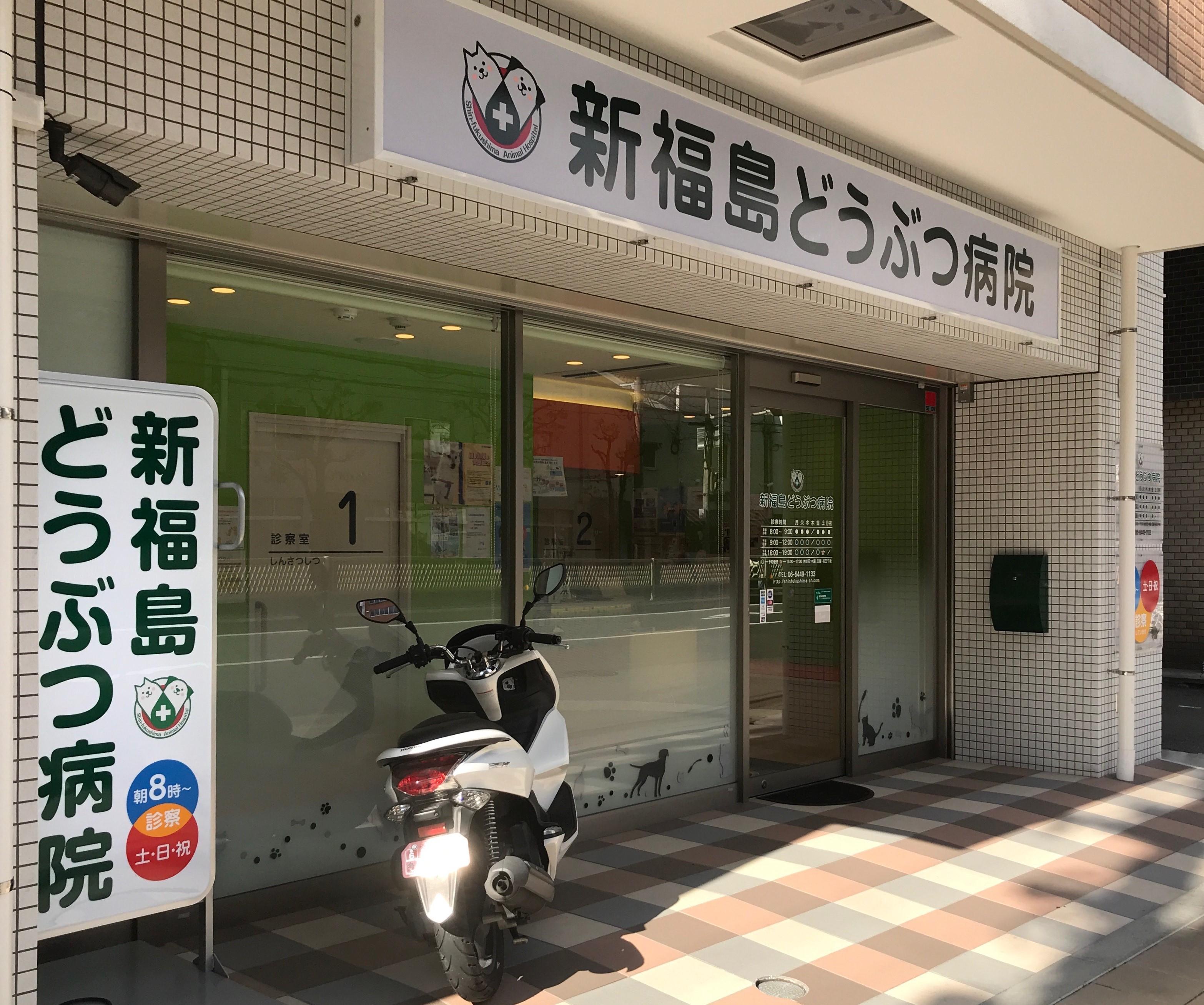 動物看護師急募！ 大阪市 福島区 新福島どうぶつ病院です！