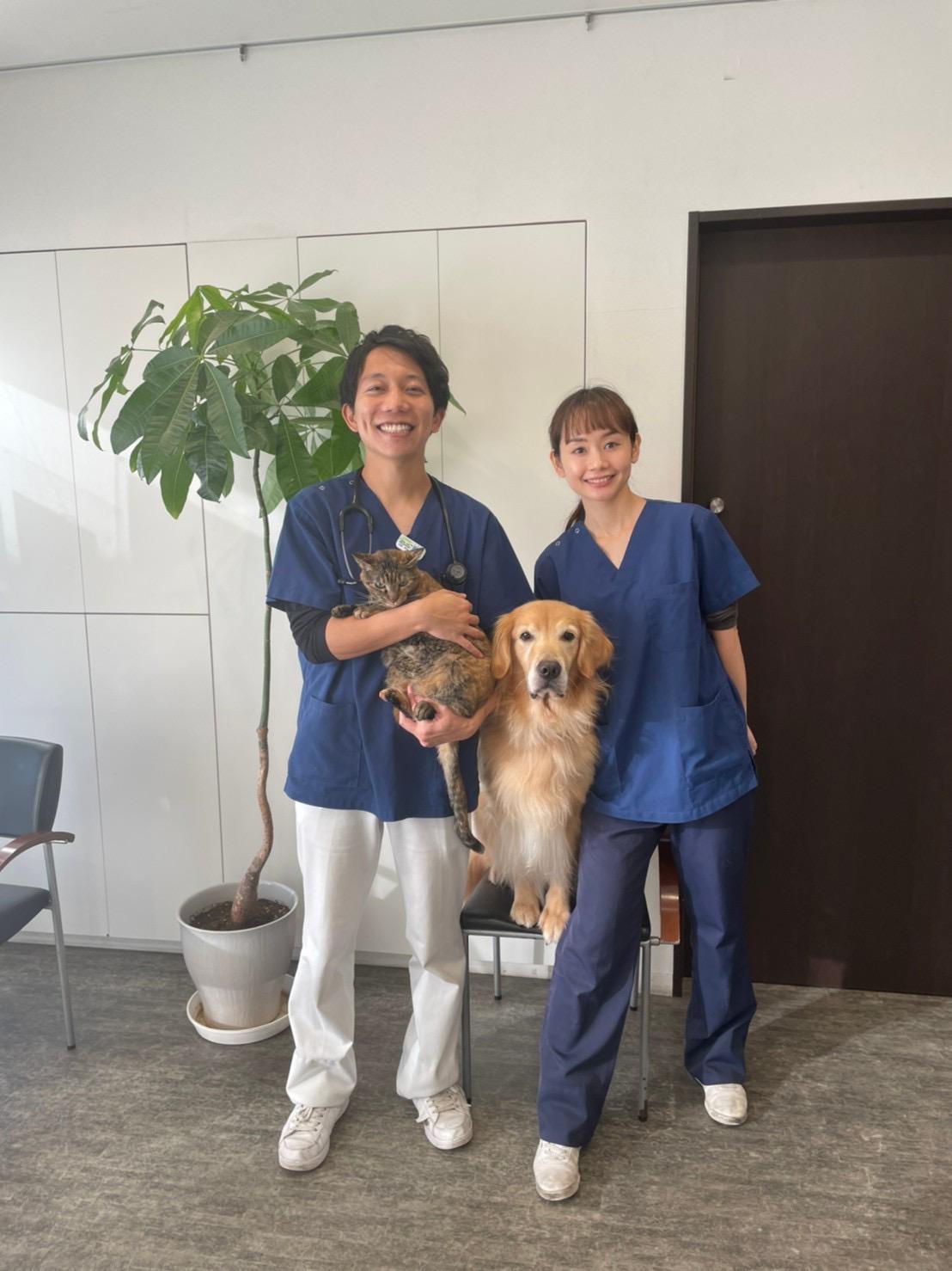 晴れたひ動物病院 高松市の晴れたひ動物病院 動物看護師募集 動物病院 ペット業界の求人転職サイト ペットリクルート