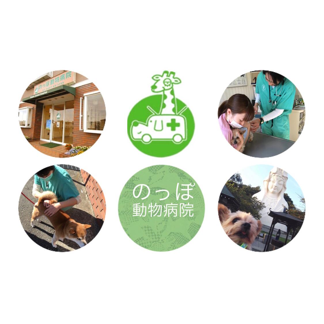 週1日～可！動物看護師募集