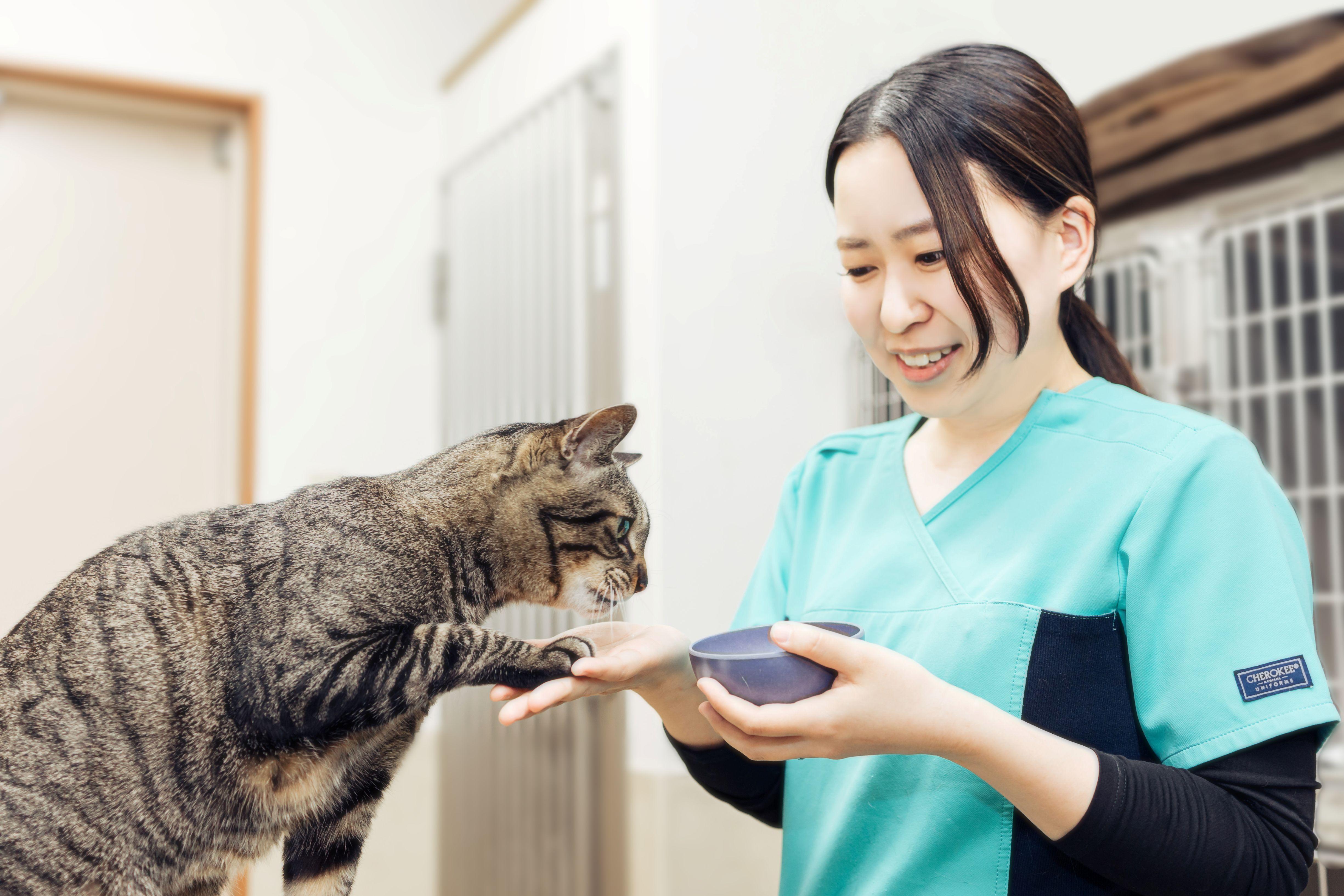 △▼地域に愛される動物病院の受付スタッフ▼△いしづか動物病院