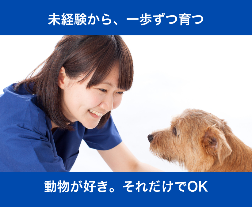 【滋賀】動物看護助手｜動物好き・未経験歓迎｜月28万円も可