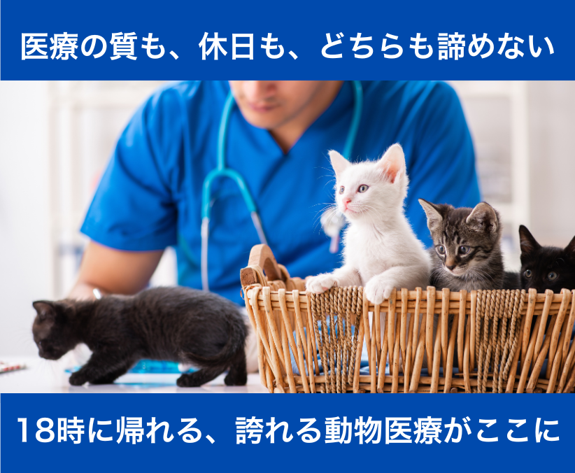 【鎌ヶ谷】年休120日超｜定時帰り｜高品質医療｜獣医師