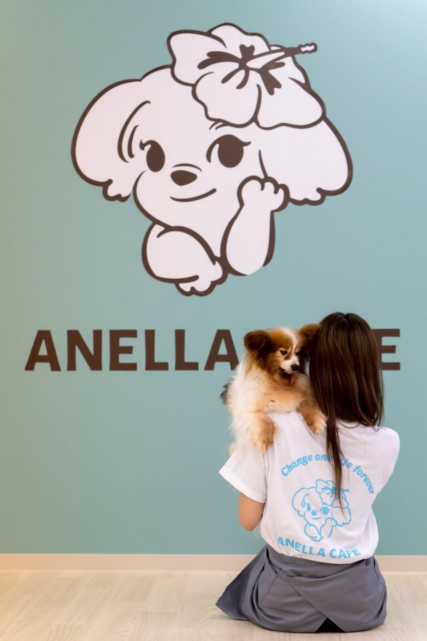 ANELLA CAFE 相模原橋本店でトリマーさん募集