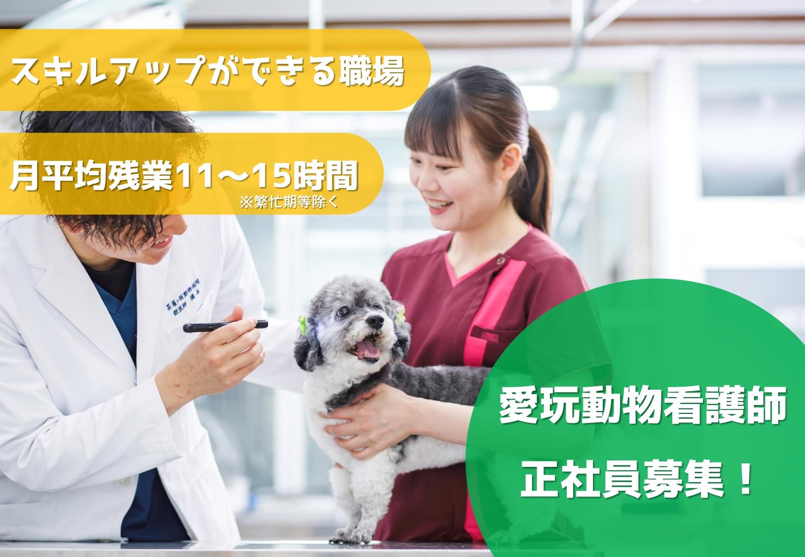 愛玩動物看護師募集