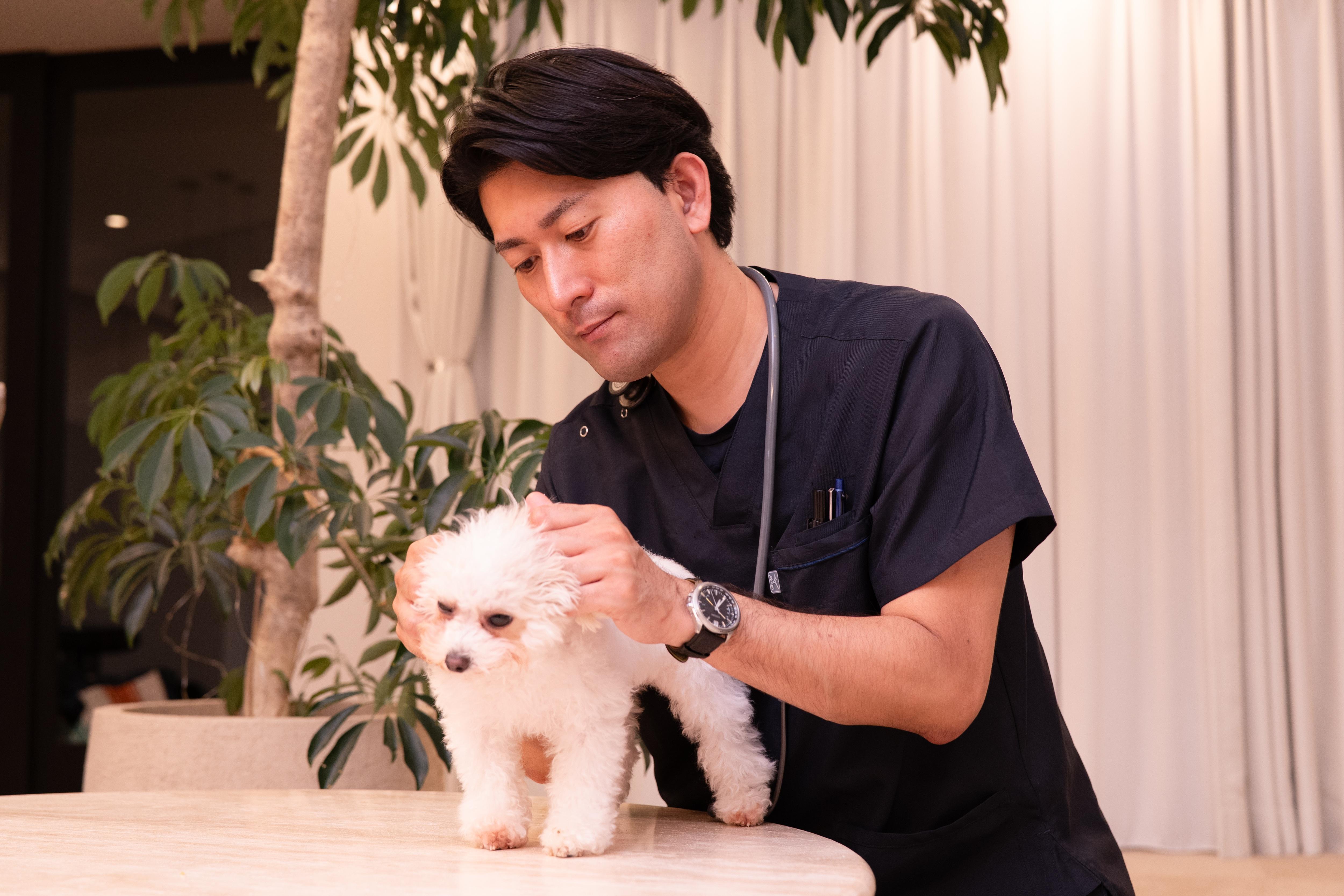 【業務委託】【1件6,000円】往診専門獣医師