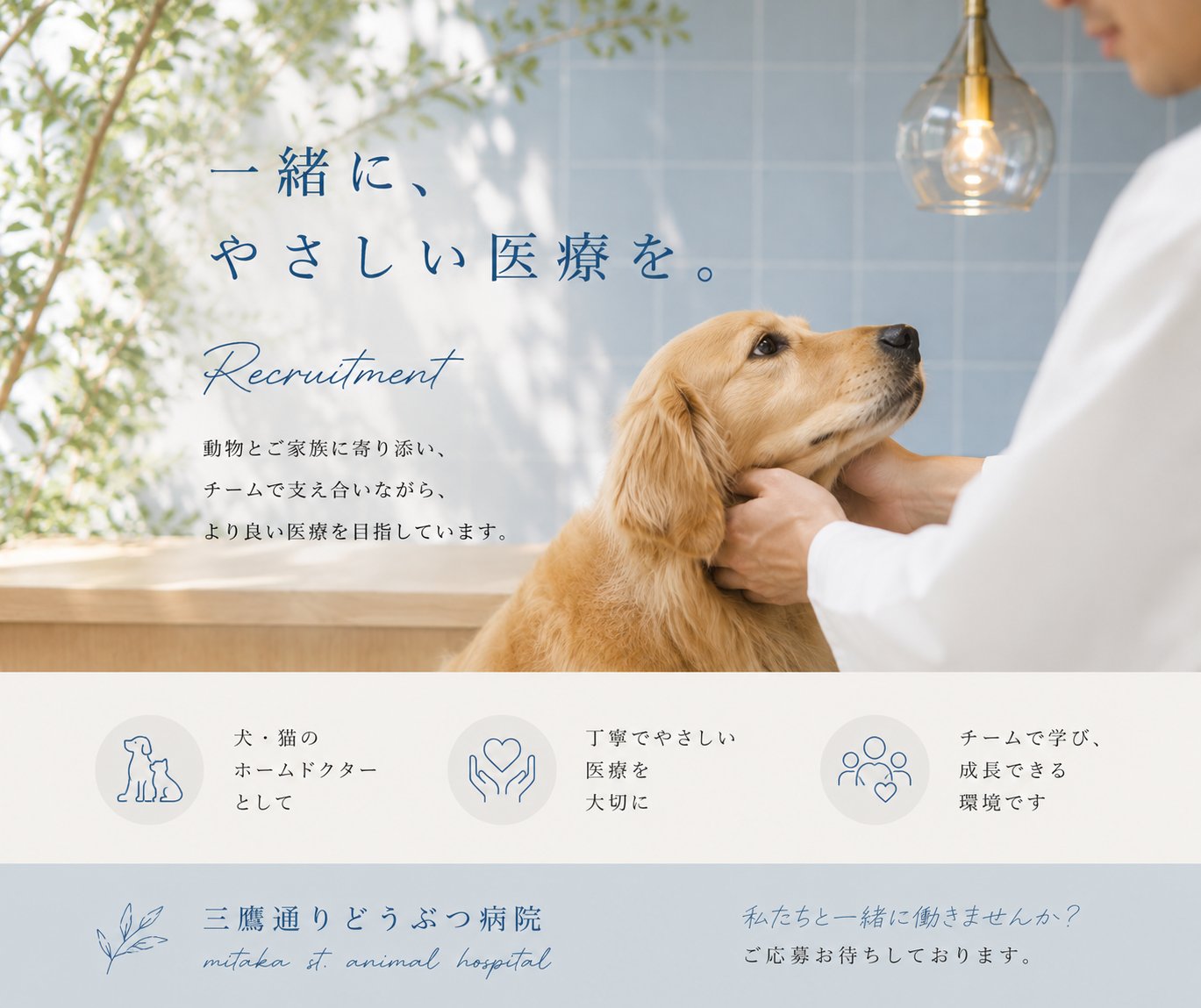 三鷹市　獣医師　正社員求人