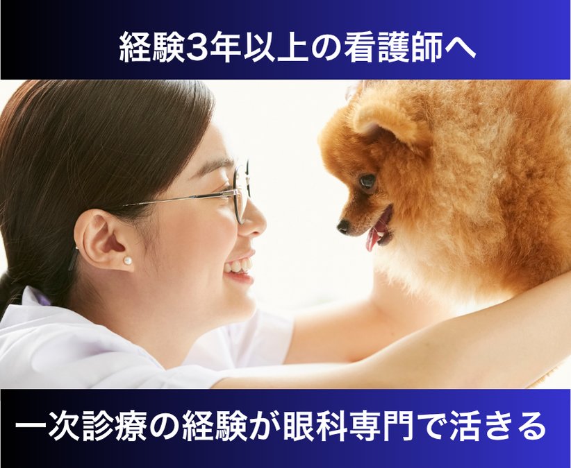 どうぶつ眼科EyeVet｜【世田谷】看護師｜一般診療看護力を専門医療で