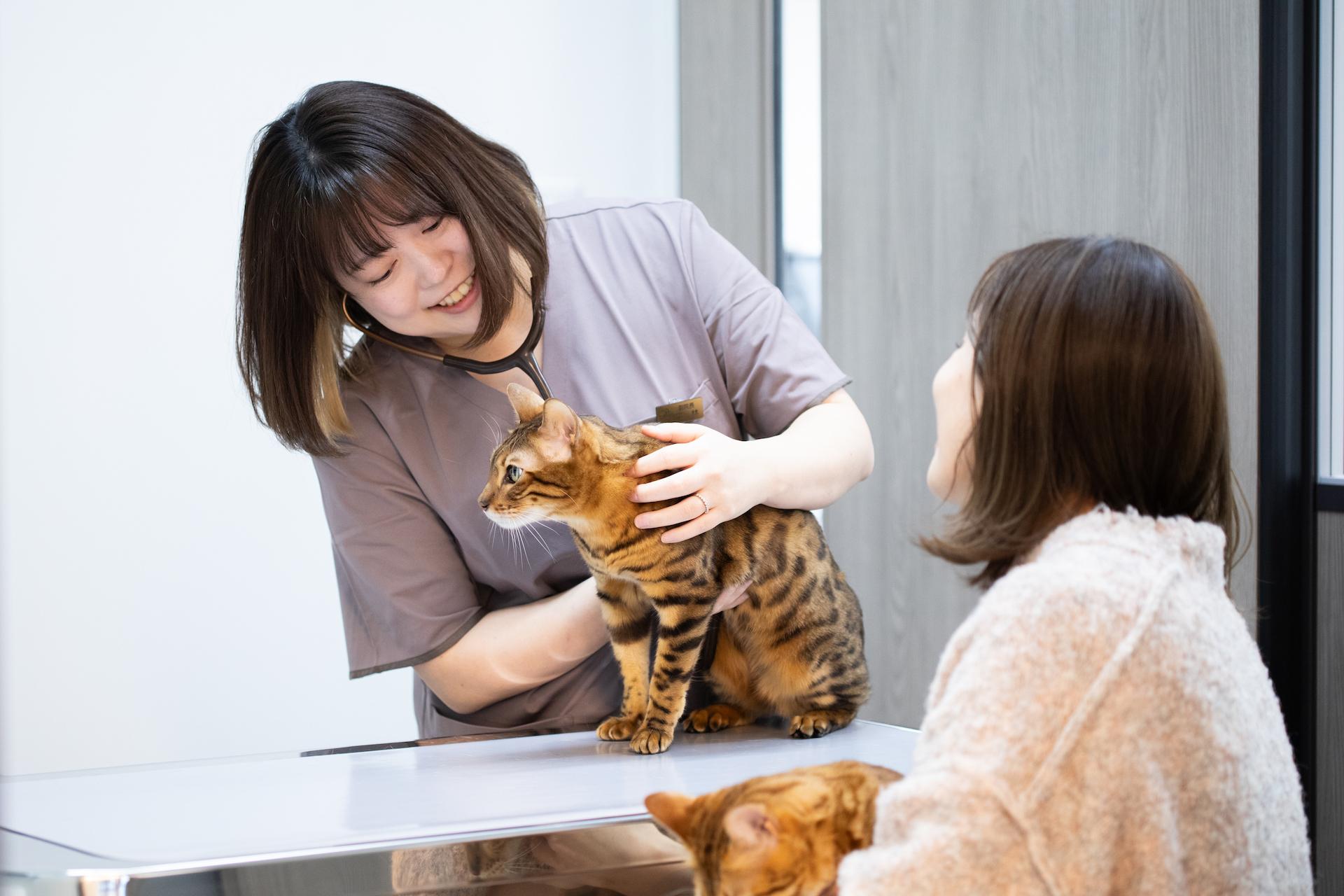経験を活かし、一緒に病院を創る獣医師募集