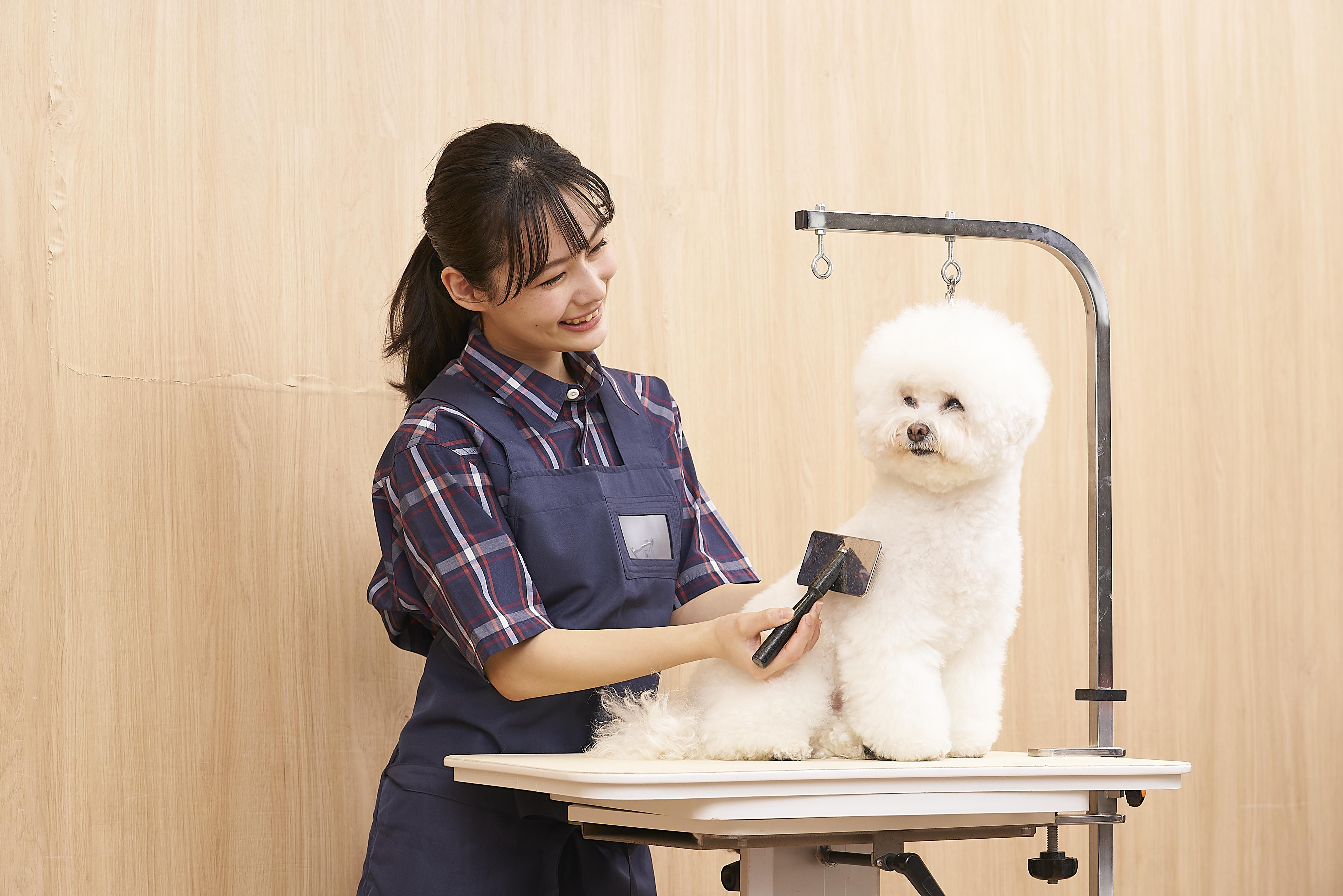 ペテモグルーミングサロン小山店【正社員・パート】