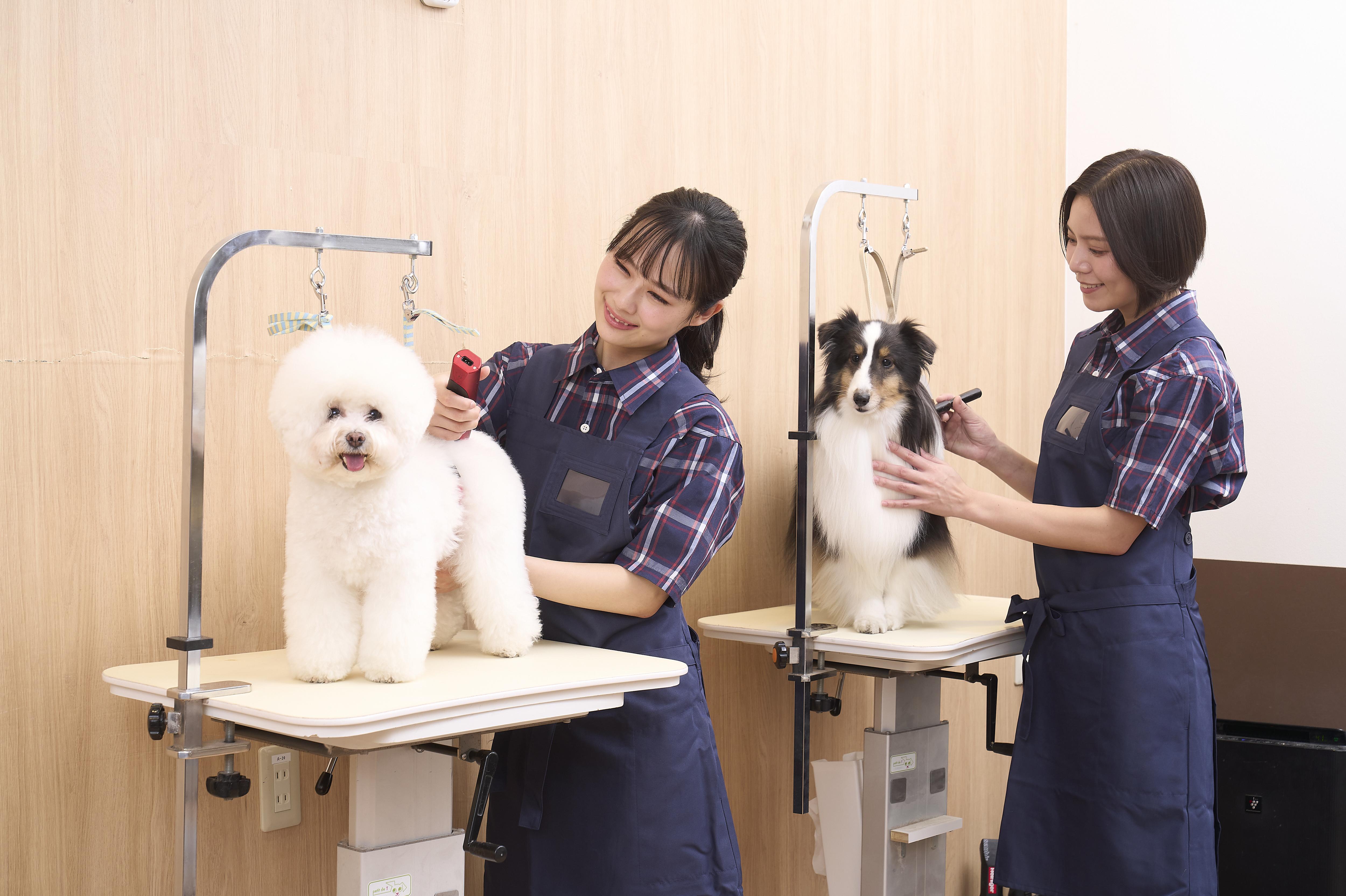ペテモグルーミングサロン立川髙島屋【正社員・パート】