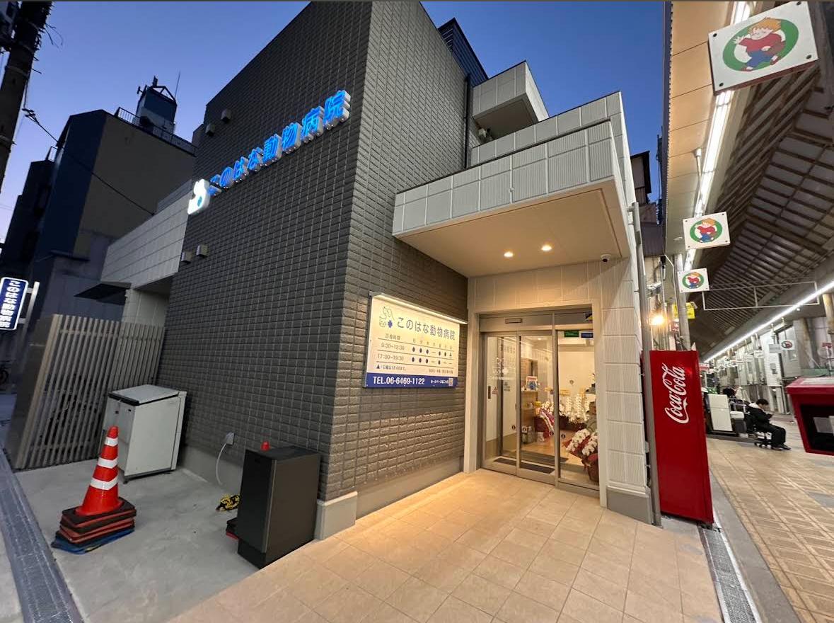 新規移転オープニングスタッフ募集！千鳥橋駅徒歩２分！