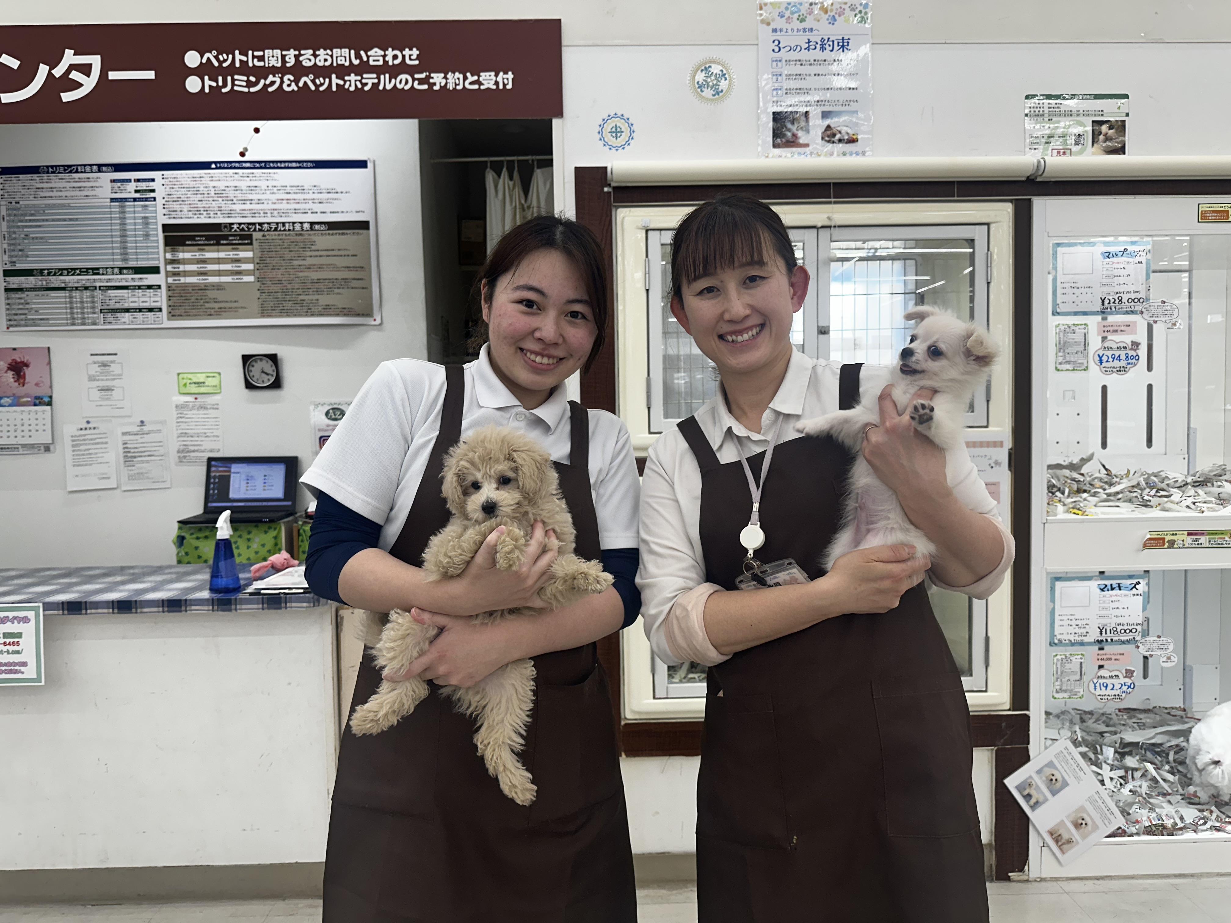 ペットショップAZ諏訪店！トリマーさんを募集してます！