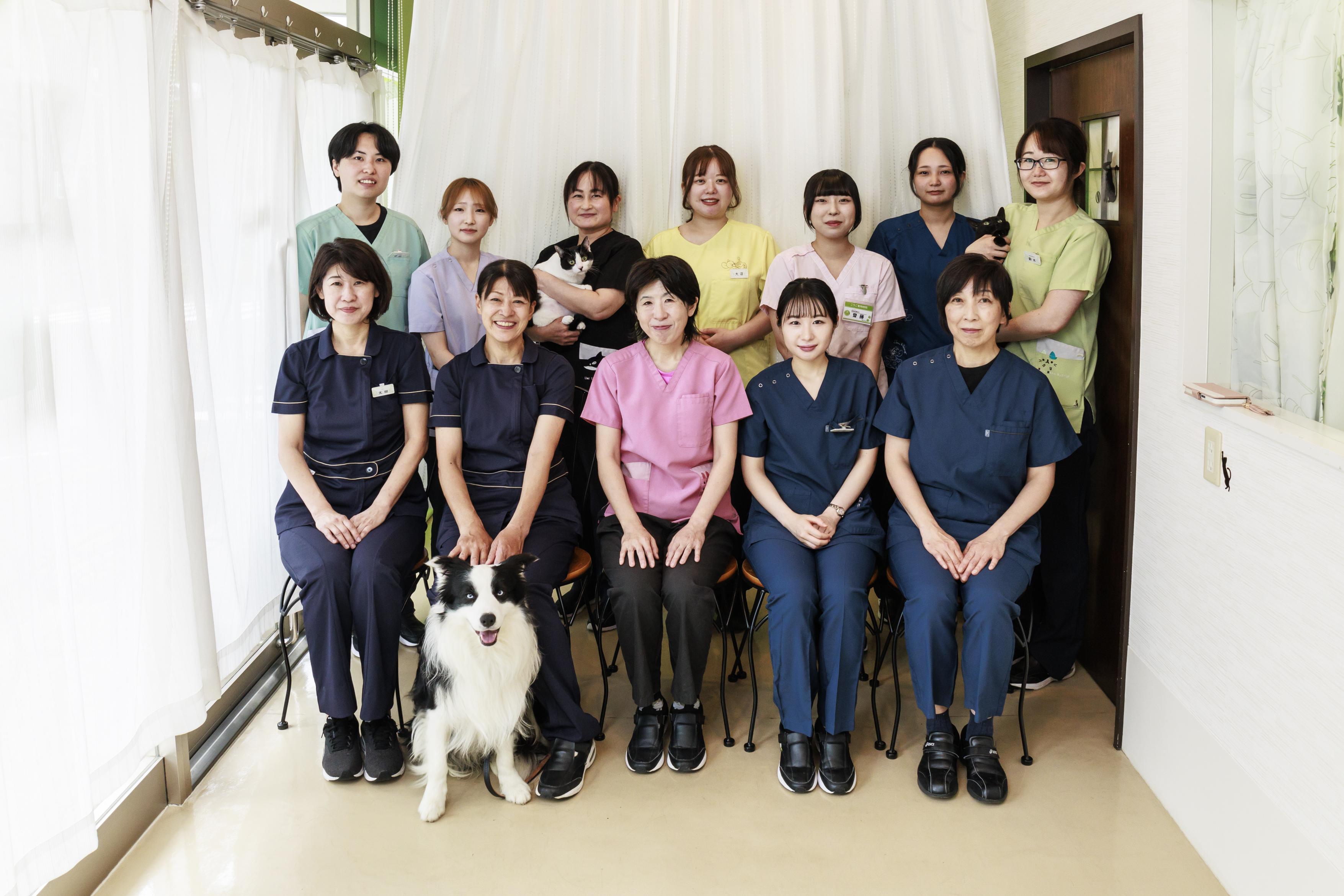【多摩市】無理なく長く働きたいトリマーさん募集