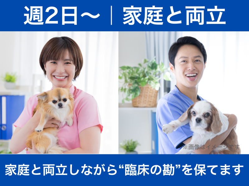 流山市｜パート獣医師｜週2日～／ブランク可／家庭と両立