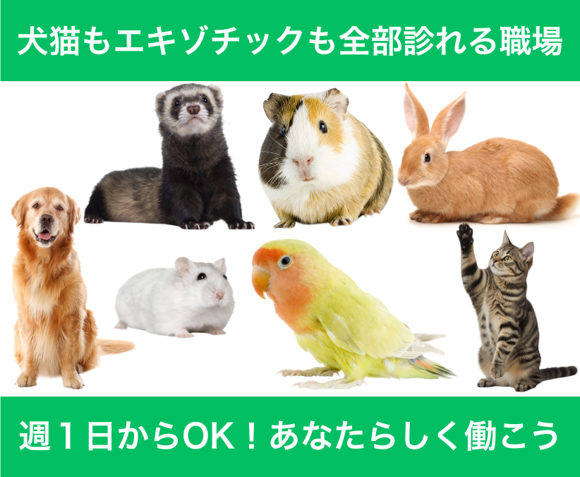 【札幌】パート獣医師｜週1日～OK｜午前のみ可｜ブランクOK
