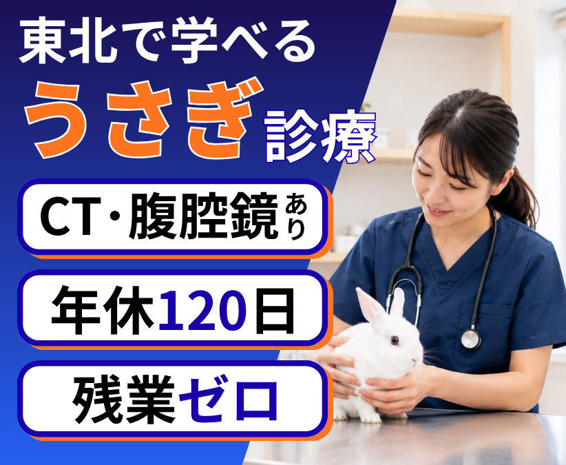 【山形市】獣医師　うさぎ手術・CT・腹腔鏡　年休120日以上