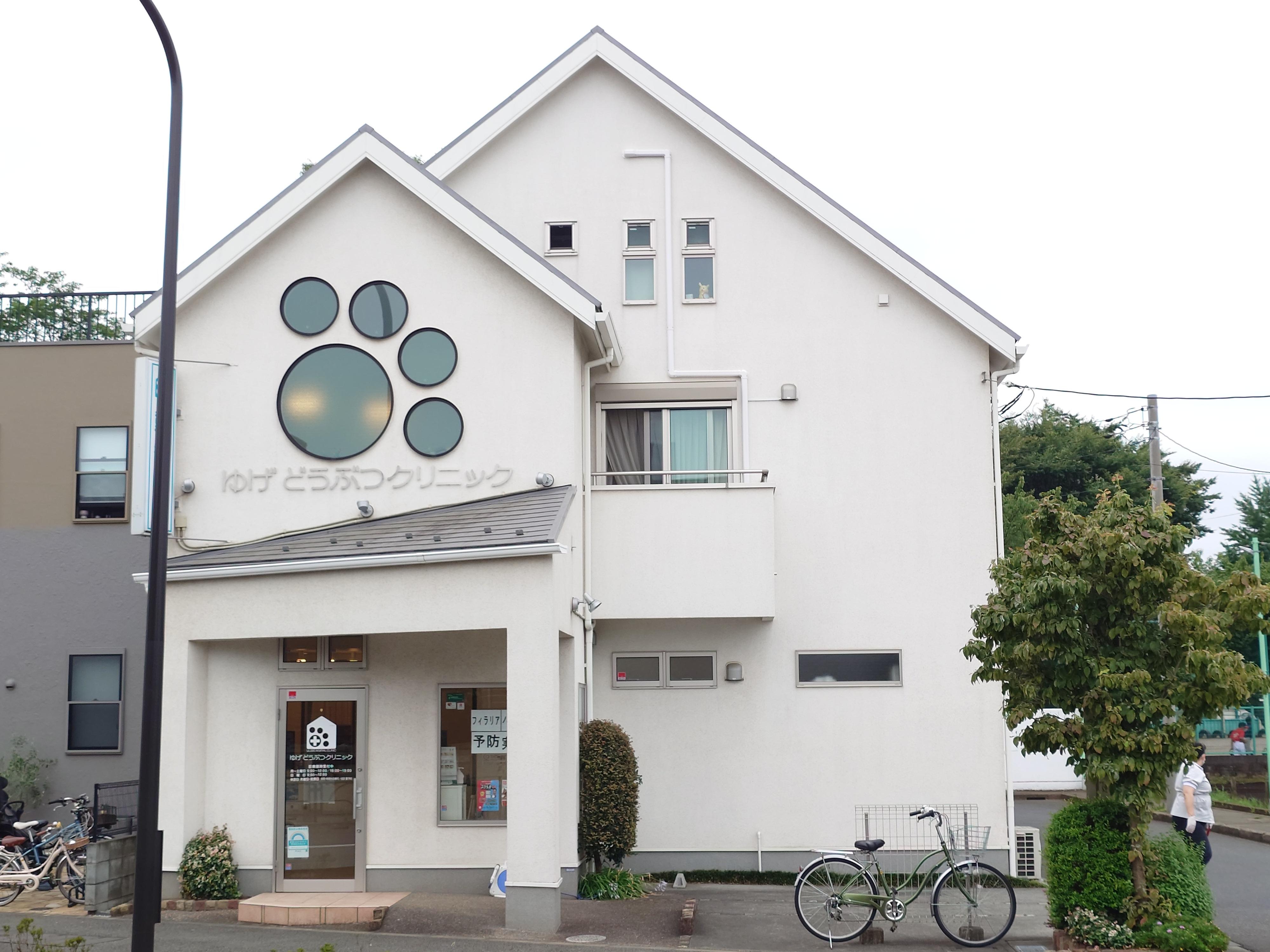 動物看護師　動物看護助手　急募
