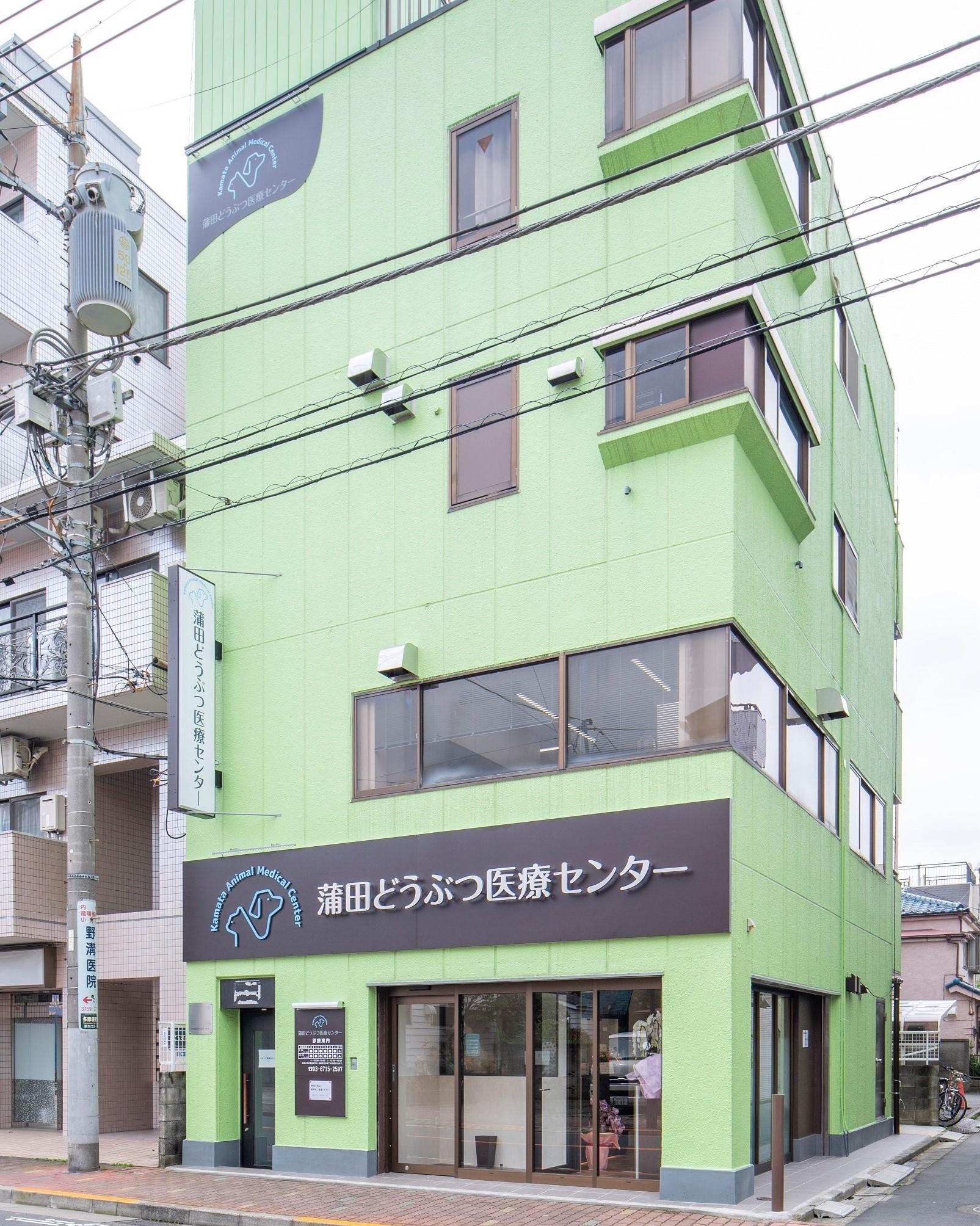 蒲田どうぶつ医療センター　パート獣医募集