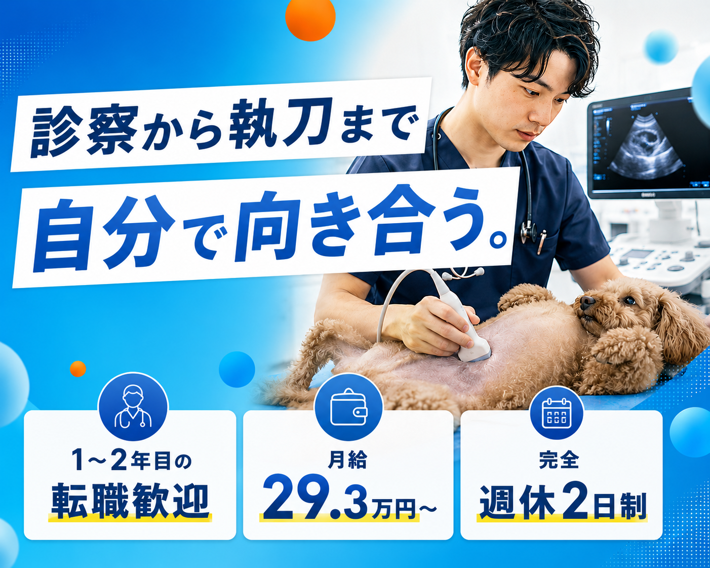 【獣医】1～2年目で転職歓迎｜手技は自分の手で｜教育制度充実