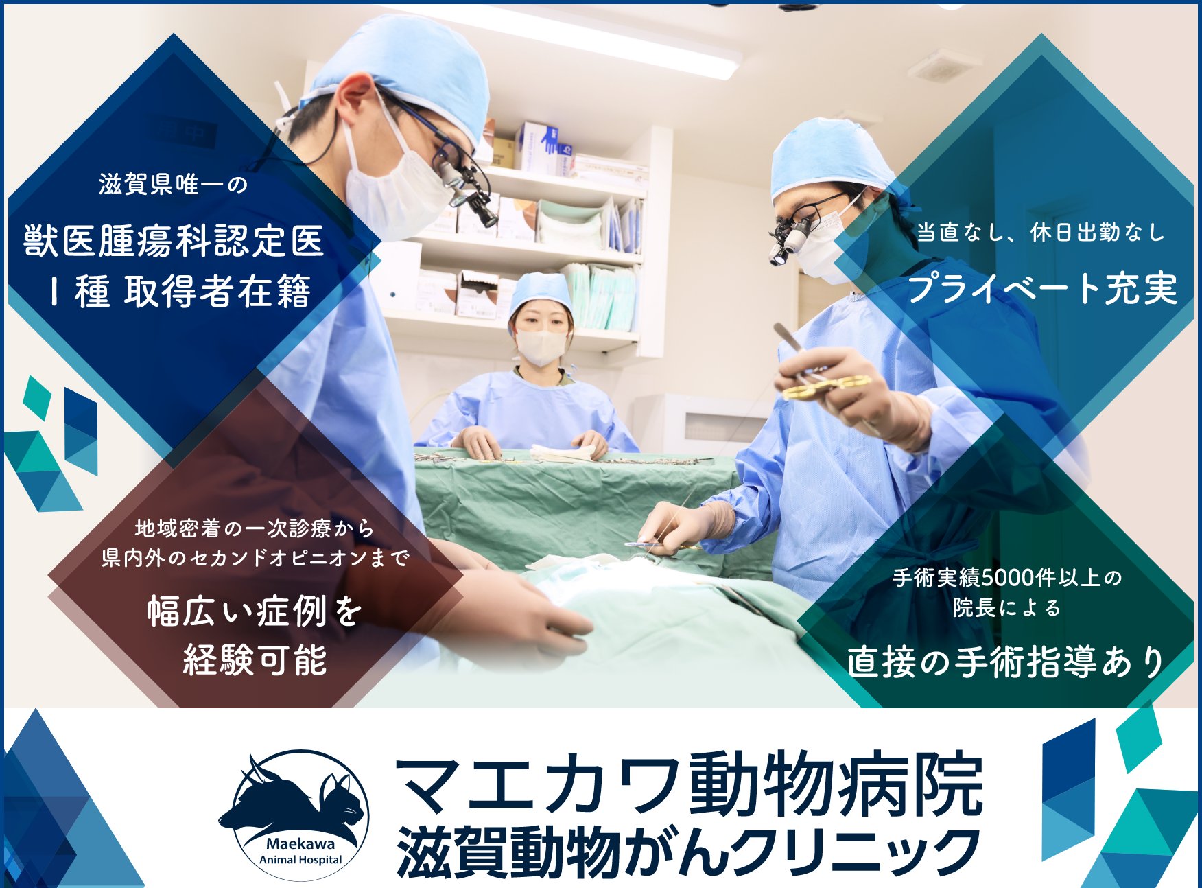 【獣医師】3部門制｜年収1000万円も可