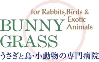 2027年新卒募集開始！エキゾチック専門病院のスタッフ募集！
