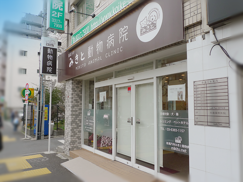 愛玩動物看護師募集です！