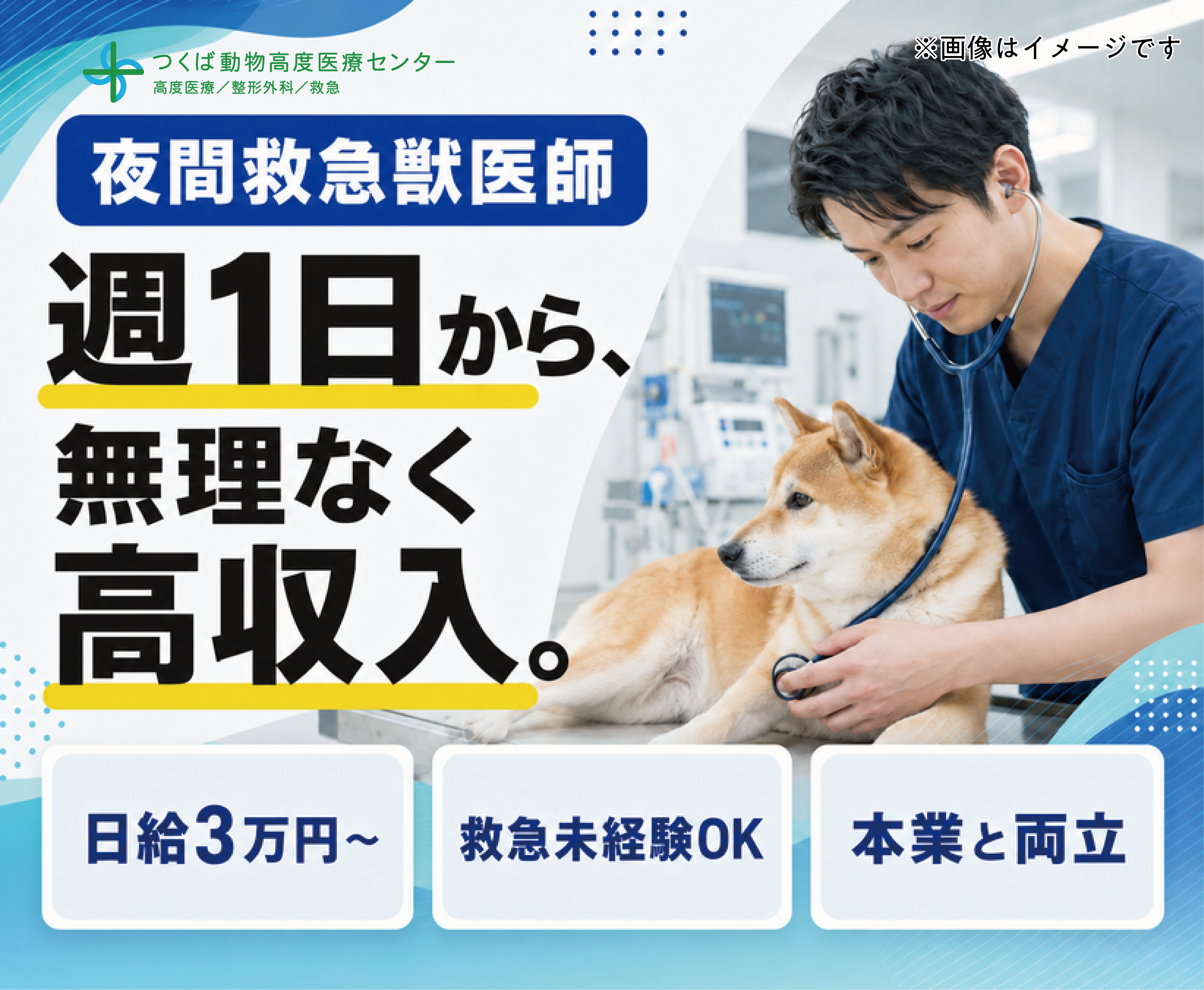 夜間救急獣医師/週1日〜/未経験でも日給3万円〜