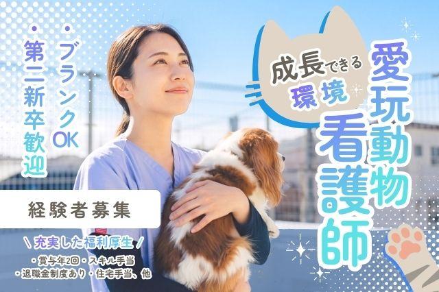 △▼愛玩動物看護師▼△松原動物病院（大阪市北区）