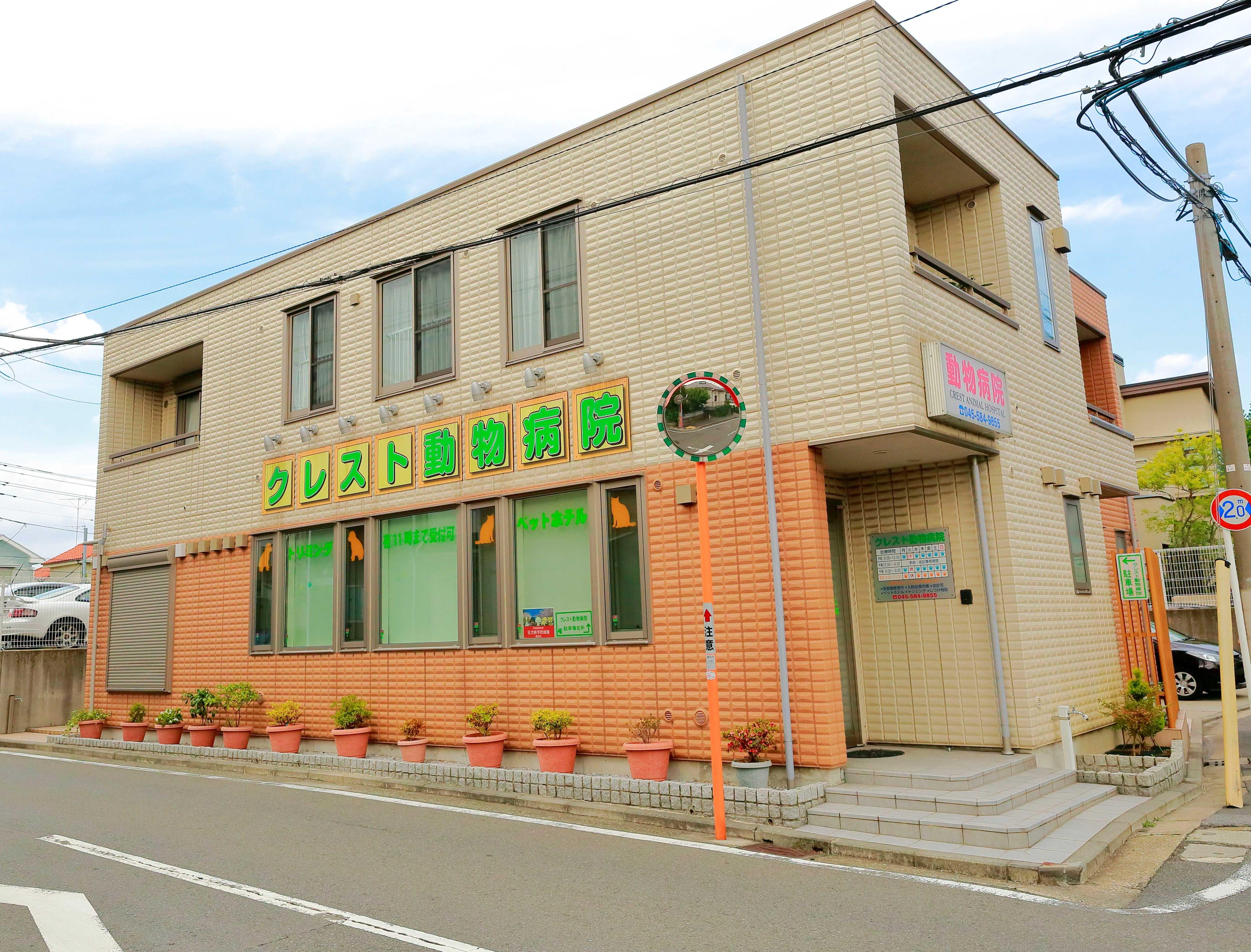 診察に特化した病院です。診察に1年目から集中できます。