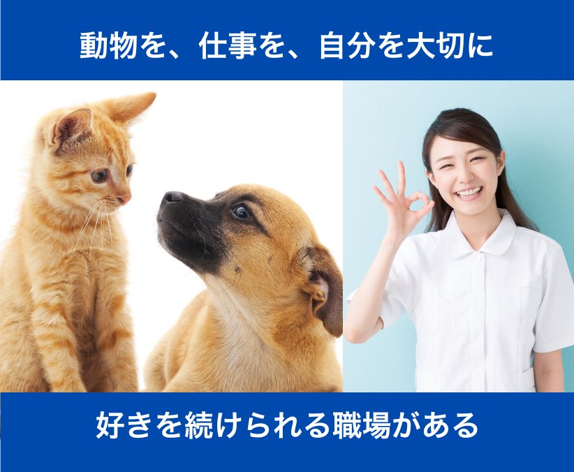 【動物看護師・助手】中標津｜未経験OK｜日祝休み｜17時退勤