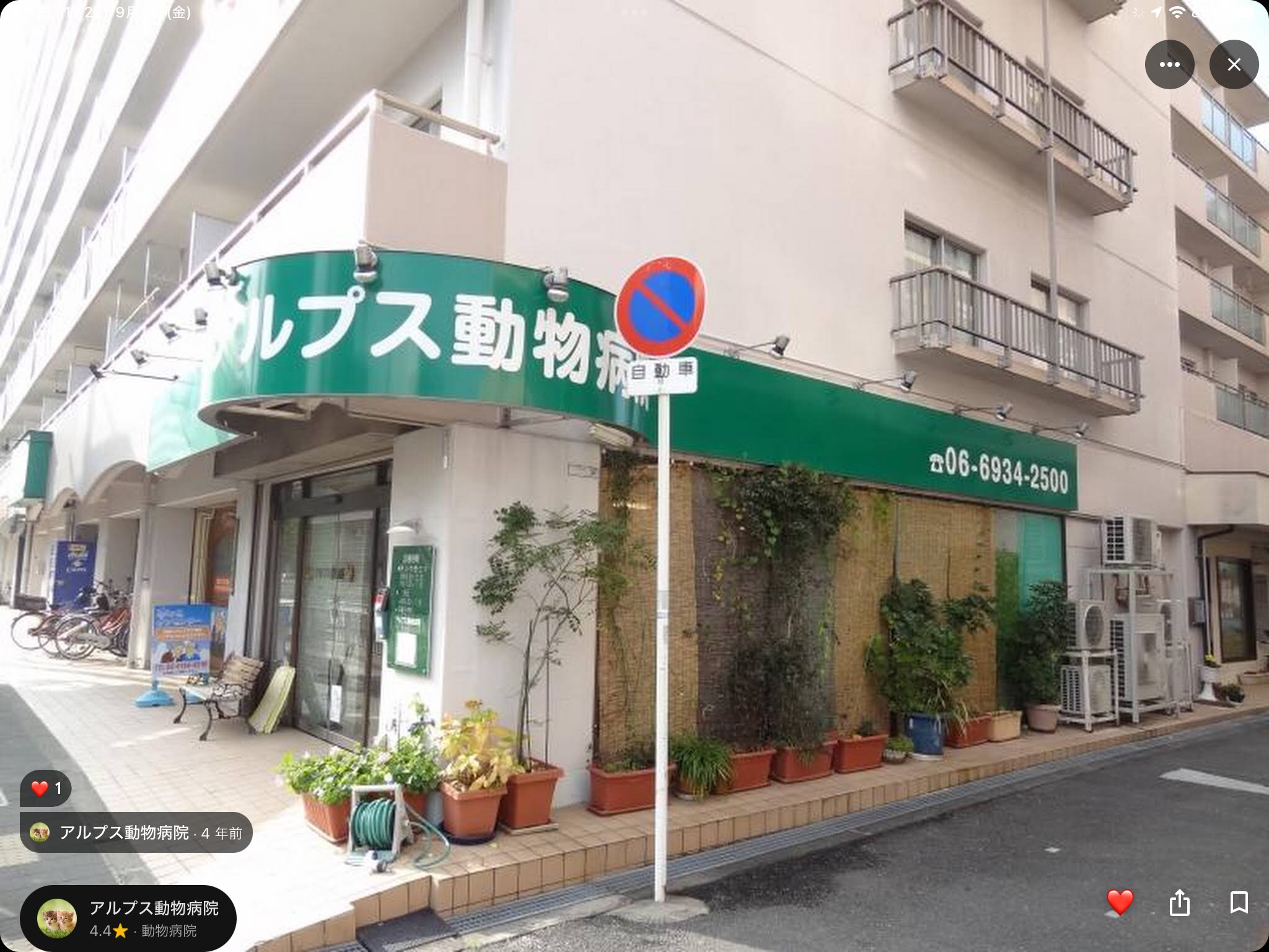 動物看護師募集中