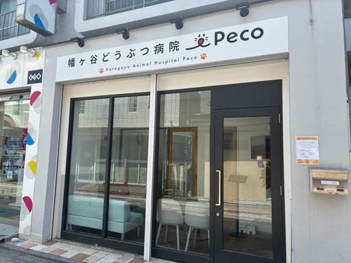 愛玩動物看護師｜幡ヶ谷院｜動物医療センターPecoグループ