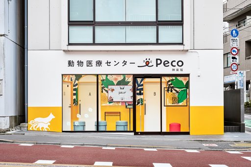 愛玩動物看護師｜神楽坂院｜動物医療センターPecoグループ