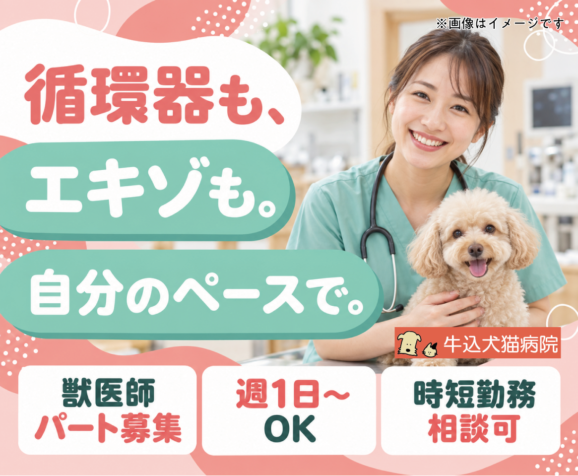 【獣医師】週1～OK｜時短相談可｜神楽坂