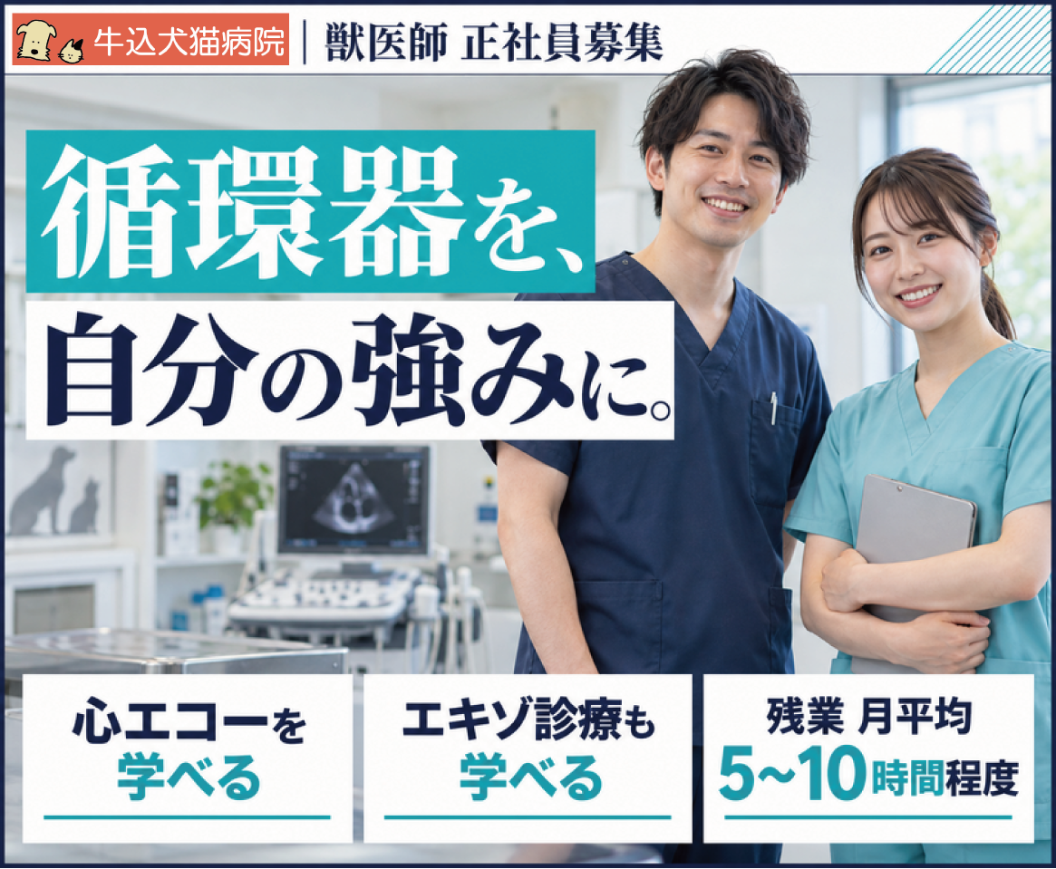 【獣医師】循環器＋エキゾ診療を学びたいあなたへ｜神楽坂