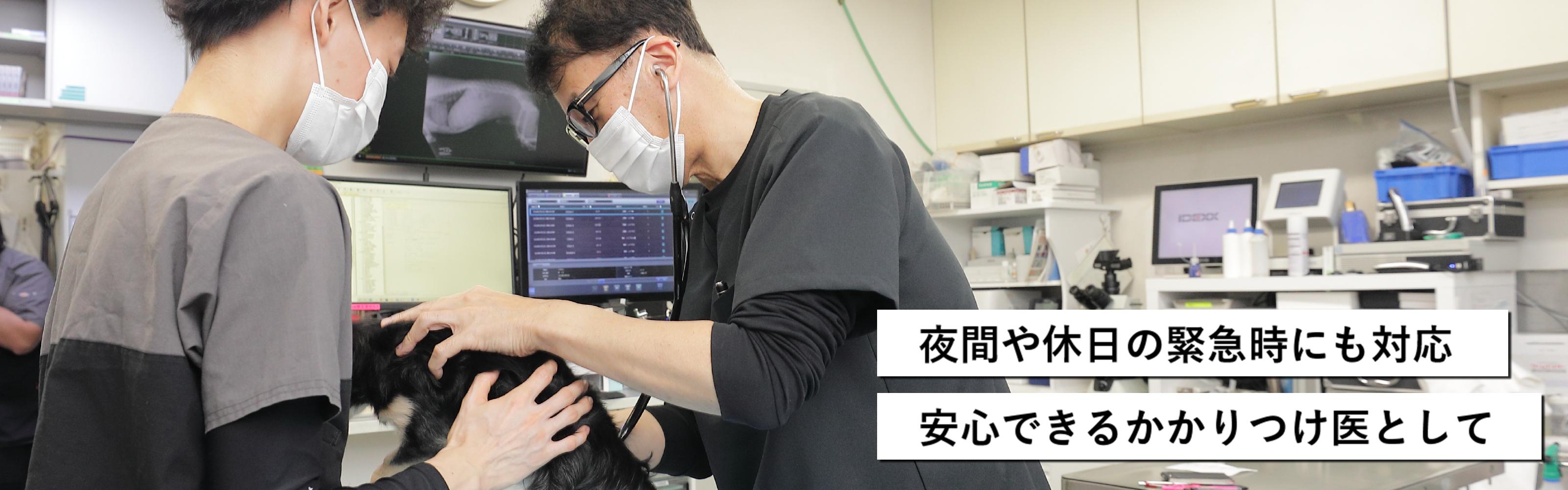 【獣医師】毎朝の症例報告・担当症例に必ず反応が返る