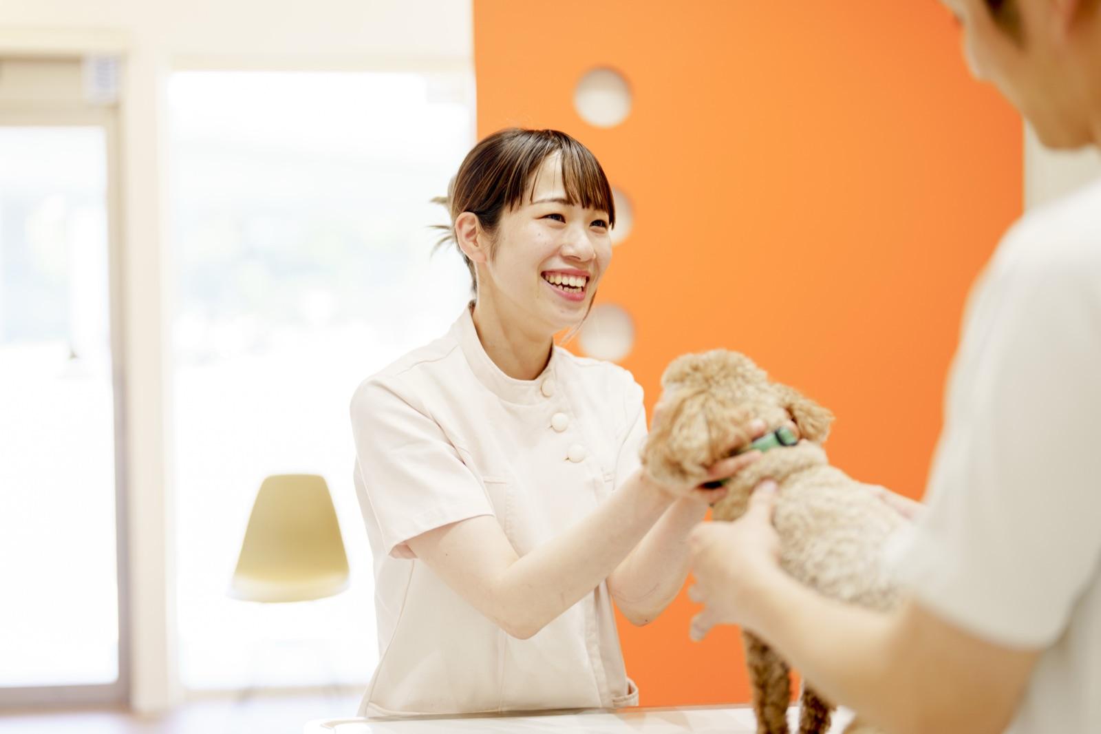 【乙訓どうぶつ病院】愛玩動物看護師募集中です！