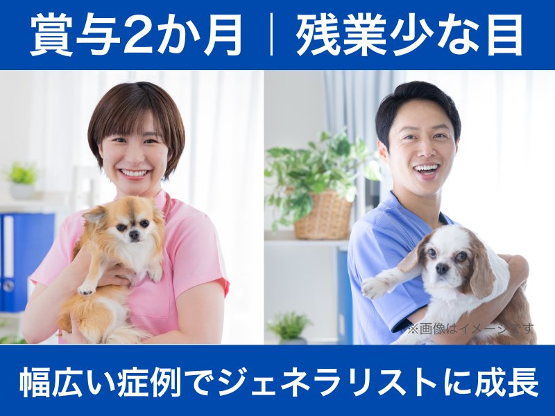 【獣医師】千葉県流山市｜賞与2ヶ月・残業少なめ・働きやすさ◎