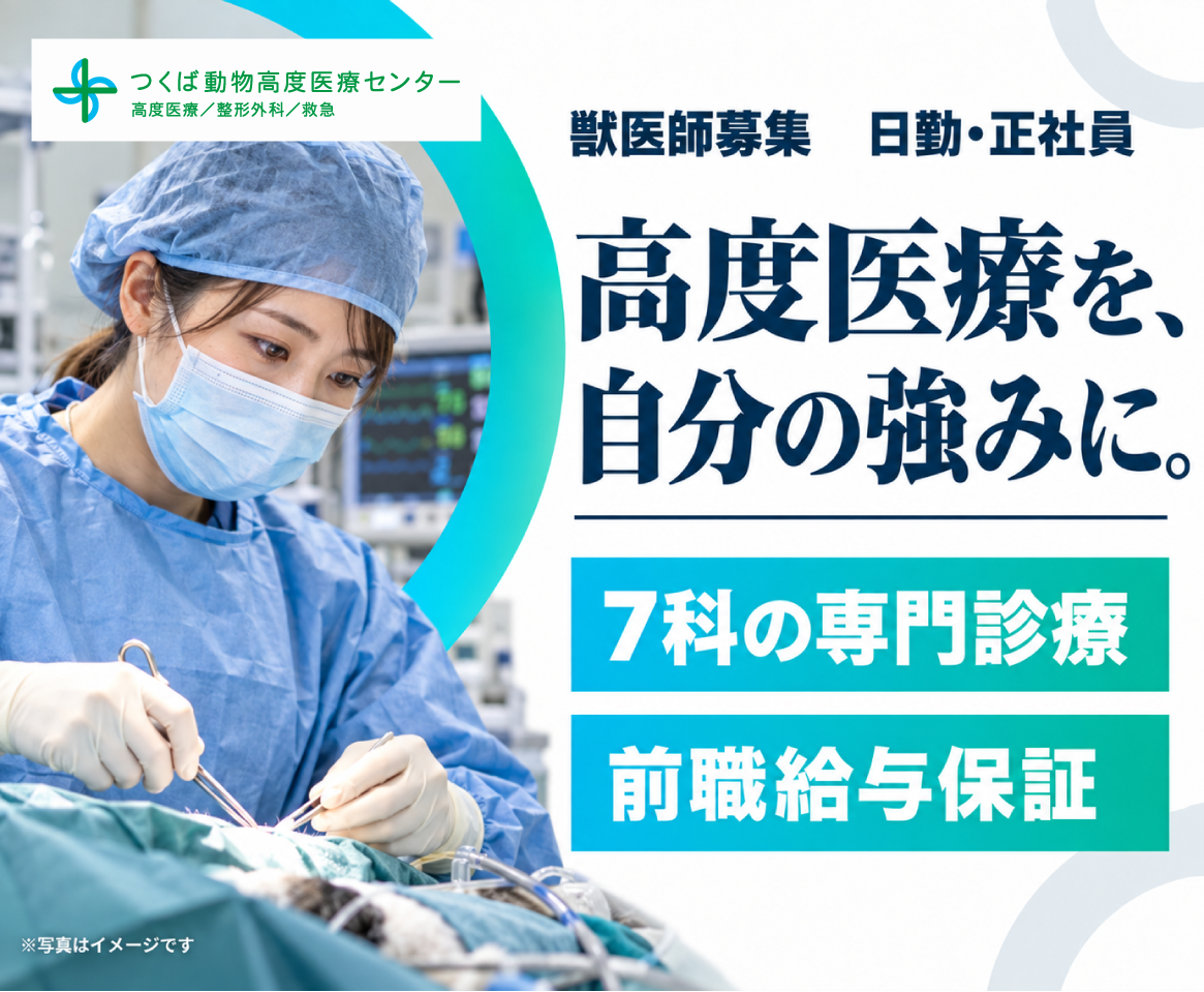 【獣医師/つくば】国内TOP水準の専門診療×前職給与保証あり