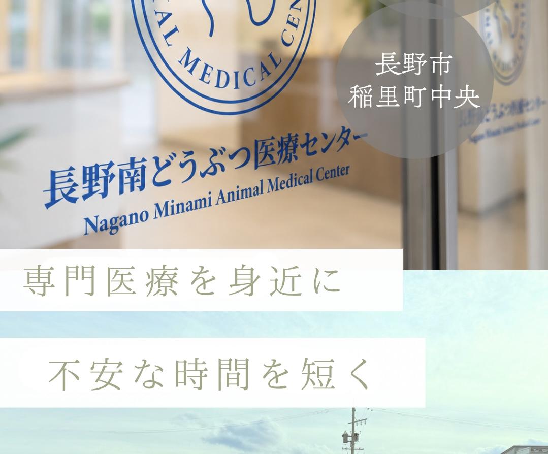 【2027年春開院】愛玩動物看護師オープニングスタッフ募集