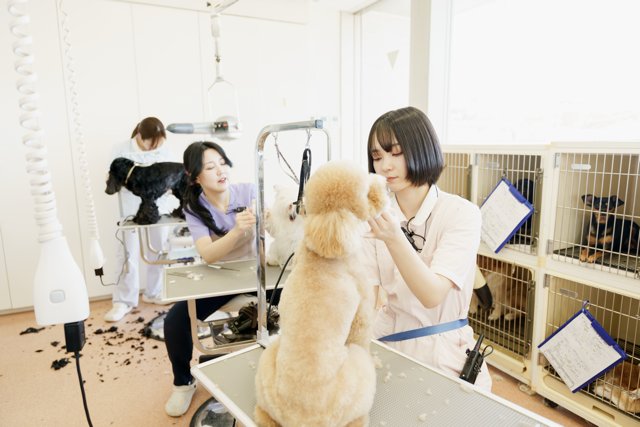 【新卒】トリマー募集☆成長し続けられる環境がここにある☆