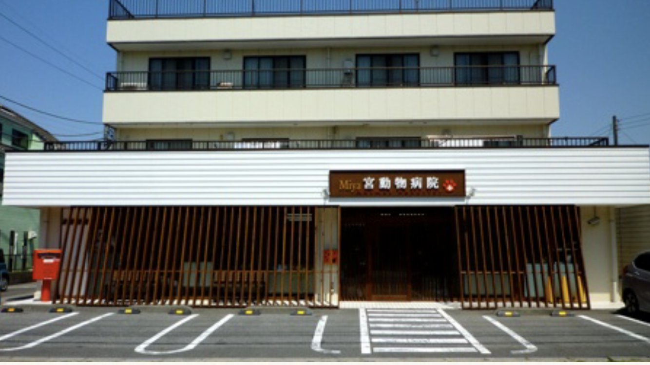 動物看護師【正社員、パート】