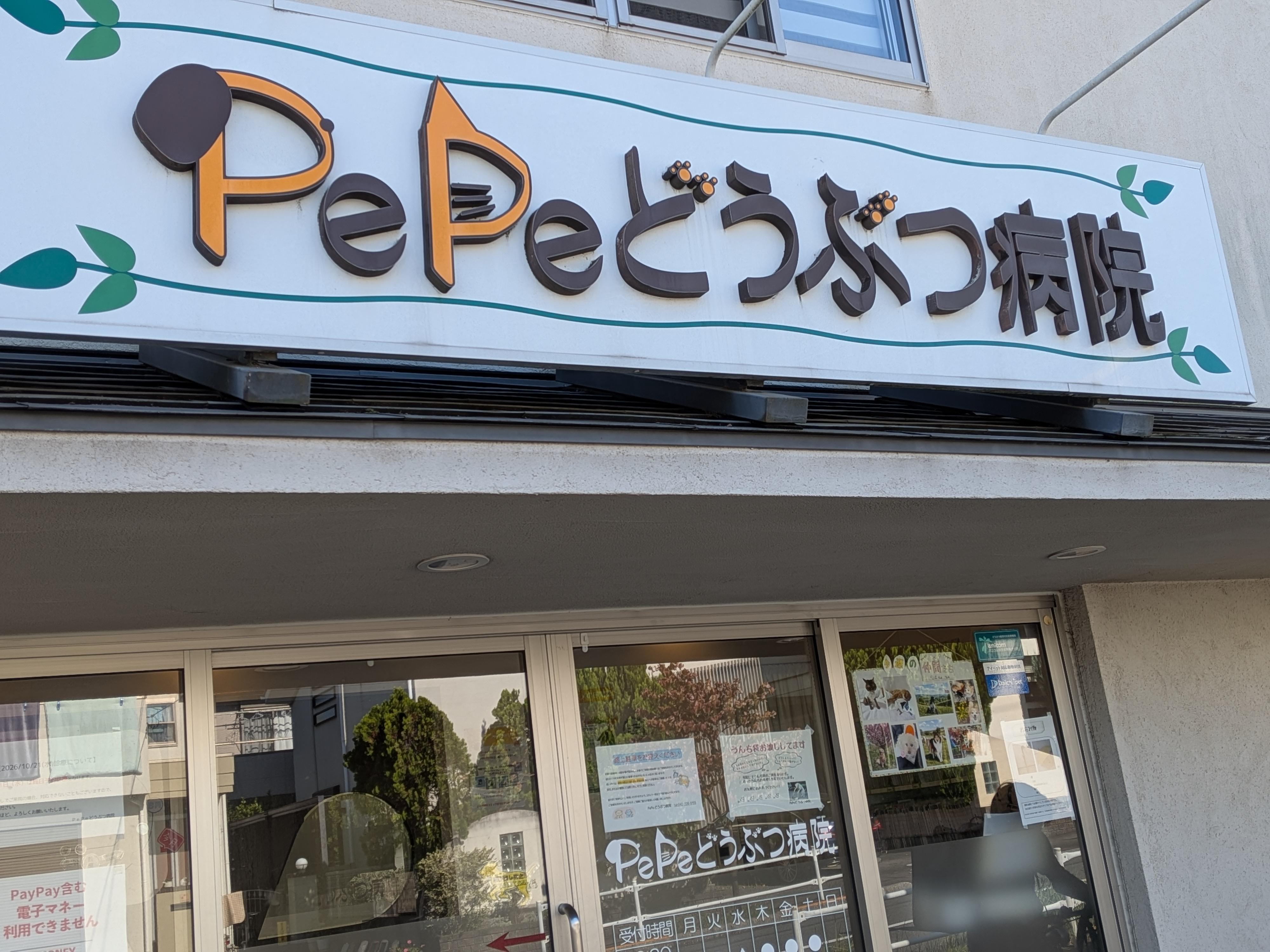 丁寧な診療と生涯サポート！地域に密着した女性だけの動物病院