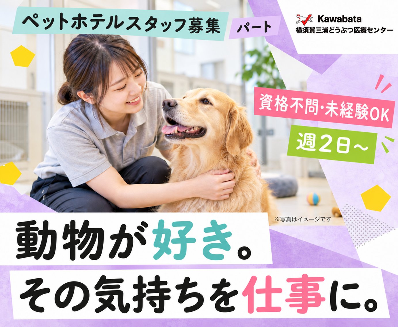 【ペットホテル】資格不問・未経験OK｜週2日〜